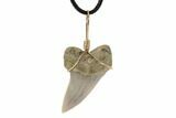 Fossil Mako Tooth Necklace - Bakersfield, California #95242-1